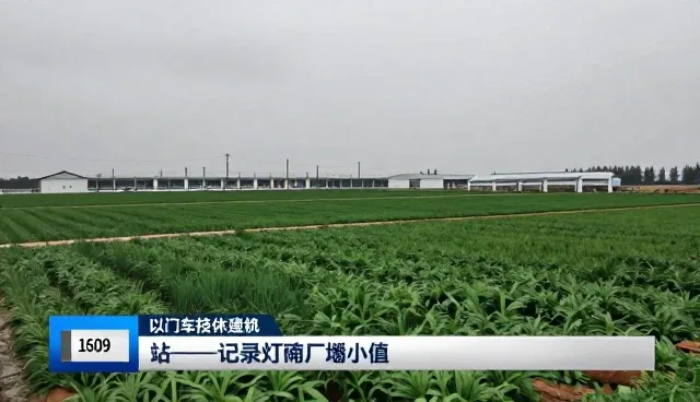 设备运行中选型关注点与维护建议的实践分析